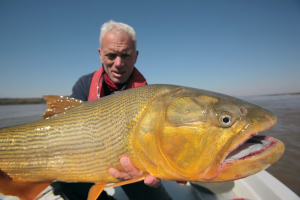 Doradojpg — River Monsters: The Monsters Tier List option 6