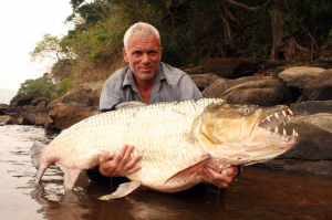 Goliathtigerfishjpg — River Monsters: The Monsters Tier List option 12