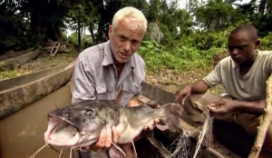 Kambacatjpg — River Monsters: The Monsters Tier List option 18