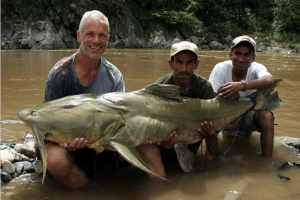 Killer Fish Goonch Catfish Pictures0jpg — River Monsters: The Monsters Tier List option 19