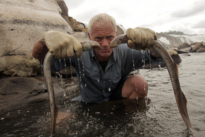 Lampreyjpg — River Monsters: The Monsters Tier List option 20