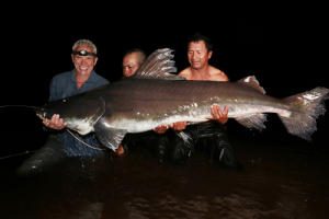 Laulaujpg — River Monsters: The Monsters Tier List option 21