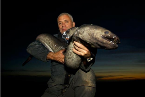Longfineeljpg — River Monsters: The Monsters Tier List option 23