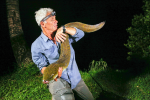 Mottledeeljpg — River Monsters: The Monsters Tier List option 24