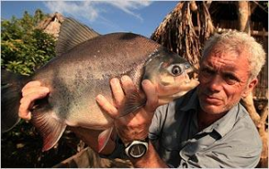 Pacujpg — River Monsters: The Monsters Tier List option 30