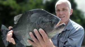 Piranhajpg — River Monsters: The Monsters Tier List option 31