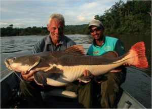 Redtailjpg — River Monsters: The Monsters Tier List option 33