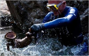 Salamanderjpg — River Monsters: The Monsters Tier List option 34