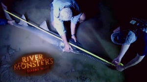 Sawfishjpg — River Monsters: The Monsters Tier List option 35