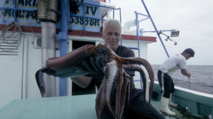 Squidjpg — River Monsters: The Monsters Tier List option 39