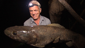 Wolffishjpg — River Monsters: The Monsters Tier List option 48