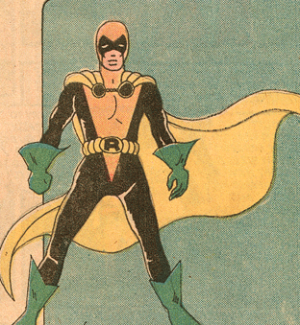 9 0png — Robin costumes option 10