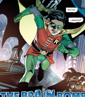 Zz1614566355new Design 0png — Robin costumes option 86