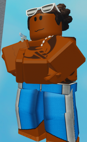 Zz1613569085surferpng — Roblox arsenal skins (2021) option 120