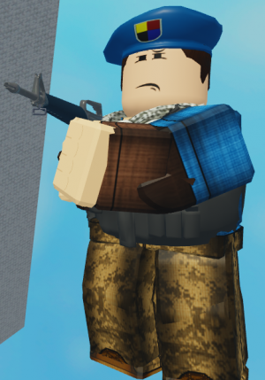 Zz1613569534desertedberet 1png — Roblox arsenal skins (2021) option 278