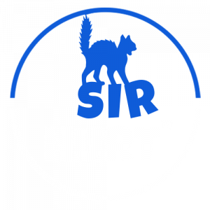 Sirhurt2png — Roblox Exploit Tier List option 8
