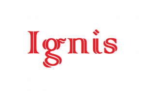 Snap Ignispng — Rogue Lineage Spells option 9