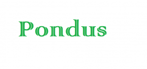 Snap Ponduspng — Rogue Lineage Spells option 12