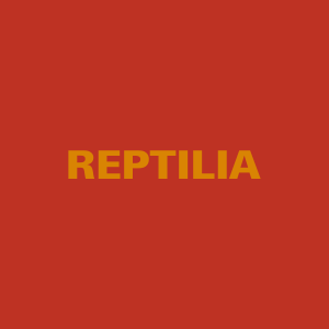 Reptiliapng — Room On Fire The Strokes option 6