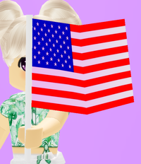 Americanflagpng — Royale High Accessories option 7