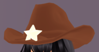 Cowboyhatpng — Royale High Accessories option 56