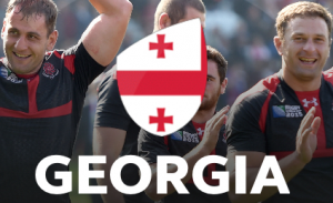 484d9038 43a8 42f8 Af65 9521170630c4jpeg — Rugby World Cup 2019 option 3