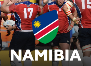 73e8c15b 964d 4163 9c27 1f63a68b769cjpeg — Rugby World Cup 2019 option 6