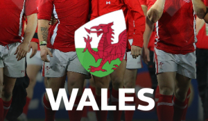 9afd3c1b Fe34 411c A913 42a35f5c81d1jpeg — Rugby World Cup 2019 option 7