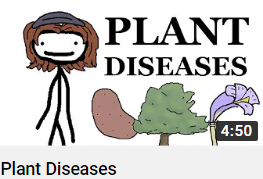 Plantdiseasespng — Sam O'nella Video tier list option 37