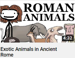 Romananimalspng — Sam O'nella Video tier list option 40