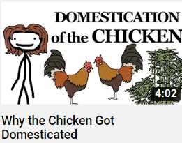 Whythechickengotdomesticatedpng — Sam O'nella Video tier list option 59