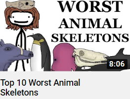 Worstanimalskeletonspng — Sam O'nella Video tier list option 61