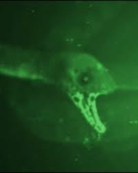 56d21720 Dc04 4043 8a59 21784c992454jpeg — Scp powerscaling option 19