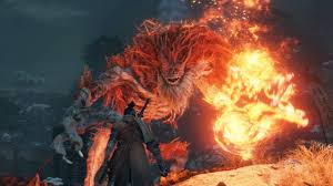 Unknown 17 — SEKIRO TIER LIST option 19