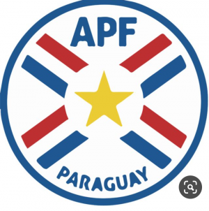 Captura De Pantalla20200930 1221152png — Selecciones de la copa América option 8
