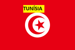Tunsiapng — Seleções da Copa do Qatar 2022 option 31