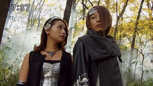 36 Vaglassjpg — Sentai Villain Faction Tier option 35