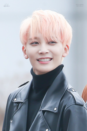 Hanniepng — Seventeen as benders option 5