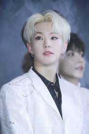 Horangijpeg — Seventeen as benders option 9