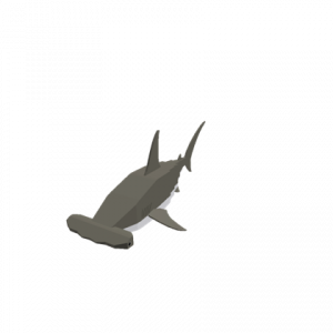 Hammerhead Defaultpng — Sharks and Diver Gear option 10