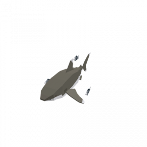Oceanicwhitetip Defaultpng — Sharks and Diver Gear option 16
