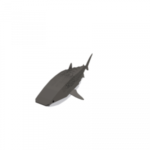 Tiger Defaultpng — Sharks and Diver Gear option 24