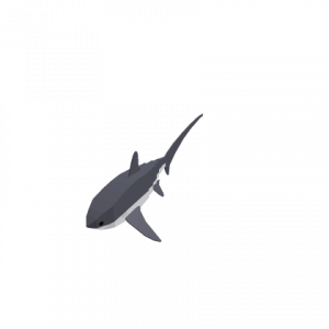Zz1615557946commonthresher Defaultpng — Sharks and Diver Gear option 30