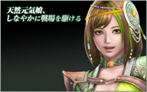 0a26d38b 46d8 4d99 B196 9f3c544274b4jpeg — Shin sangoku musou zan busyo option 8