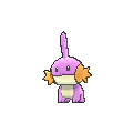 Mudkippng — Shiny Pokemon in Pokemon Go option 165