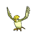 Pidgeottopng — Shiny Pokemon in Pokemon Go option 181