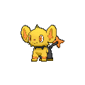 Shinx Fpng — Shiny Pokemon in Pokemon Go option 219
