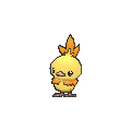 Torchicpng — Shiny Pokemon in Pokemon Go option 245