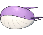 Wailordpng — Shiny Pokemon in Pokemon Go option 255