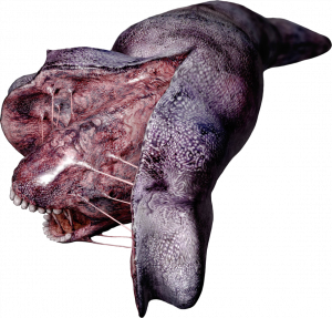 27 Split Wormpng — Silent Hill Creatures option 18